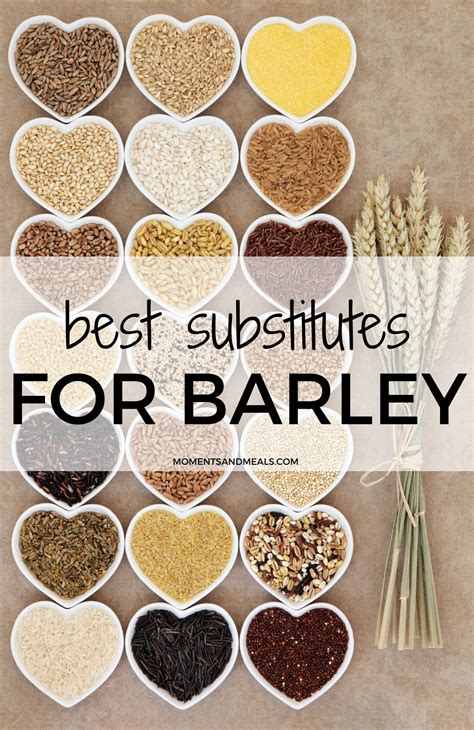 is barley flour gluten free - are barley flakes gluten free.